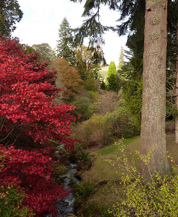 More autumn colour